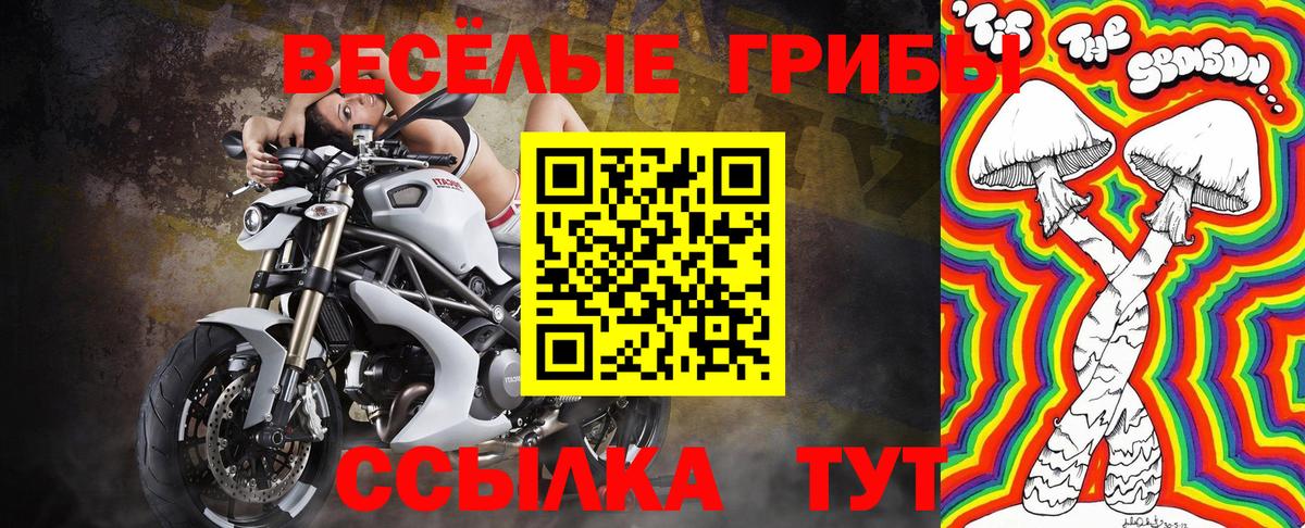 Галлюциногенные грибы Psilocybine cubensis  Вход с VPN  Комсомольск-на-Амуре  Псилоцибиновые грибы Psilocybe 